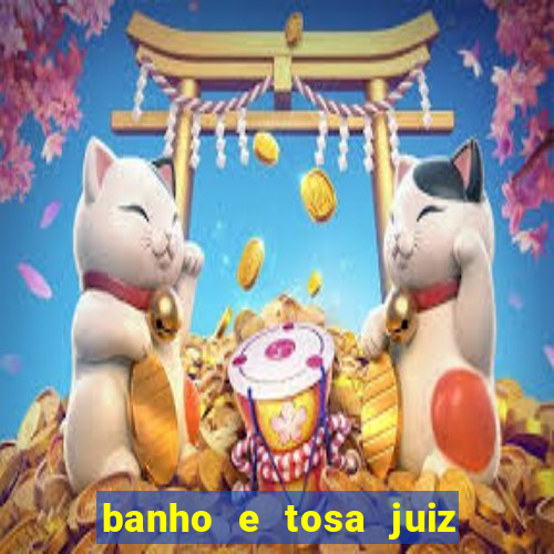 banho e tosa juiz de fora